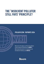 The 'Insolvent Polluter Still Pays' Principle?