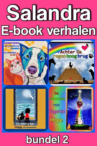 Salandra E-book verhalen 2