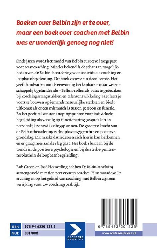De Belbinbenadering