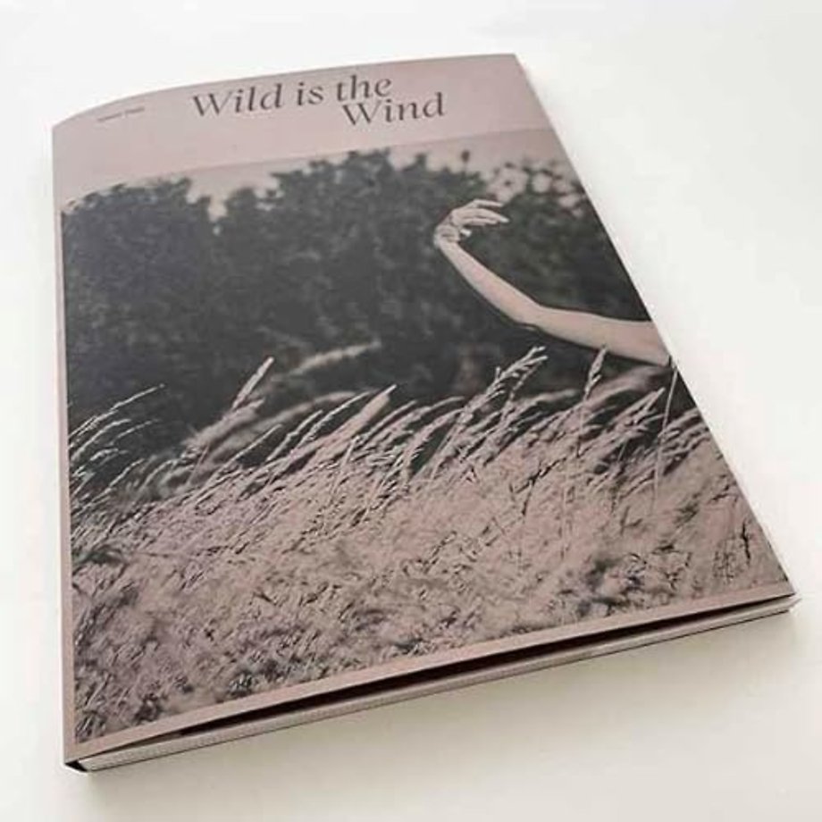 Wild is the wind