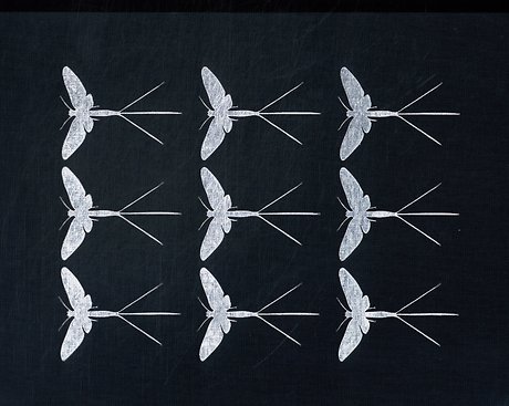 Mayflies