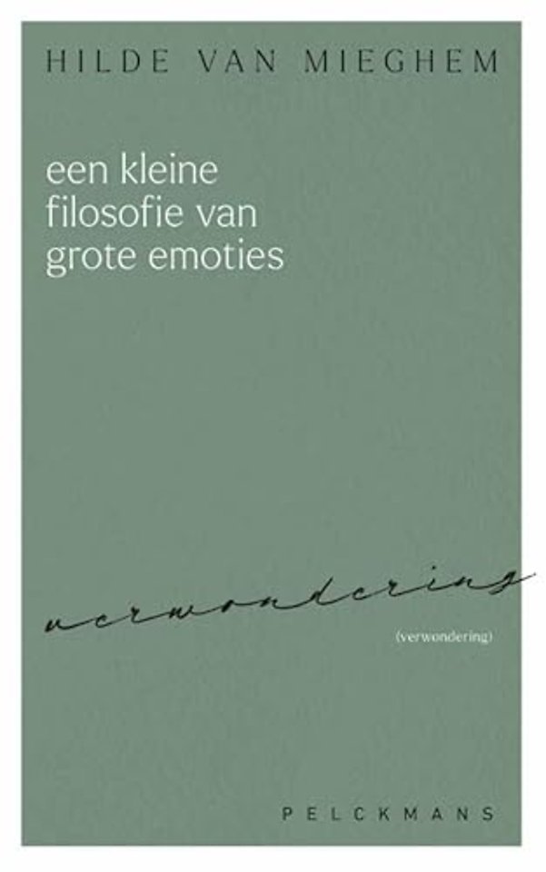 Een kleine filosofie van grote emoties