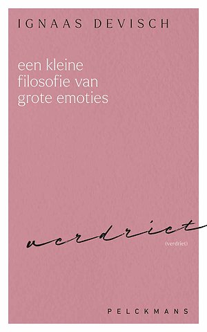 Een kleine filosofie van grote emoties: Verdriet