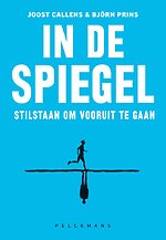 In de spiegel