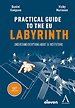 Practical Guide to the EU Labyrinth