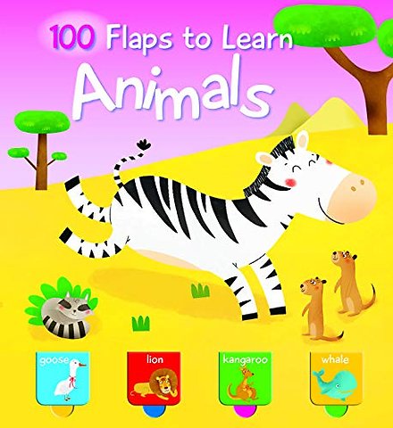 100 Flaps to Learn