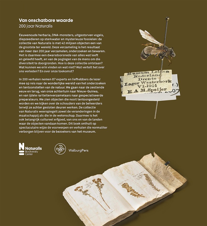 Van onschatbare waarde