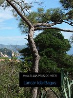 Halleluja prijs de heer