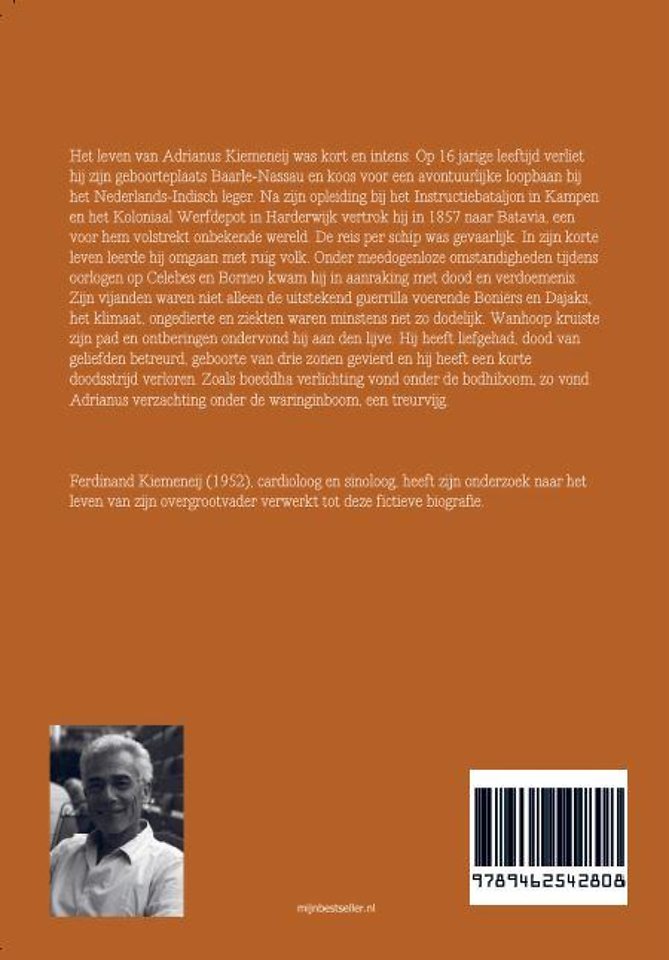 Tranen en troost onder de waringinboom