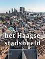 Het Haagse stadsbeeld