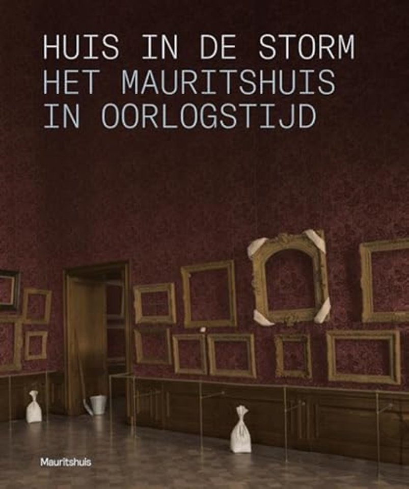 Huis in de storm