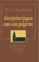 Overpeinzingen van een pelgrim