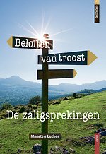Beloften van troost