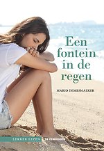 Een fontein in de regen