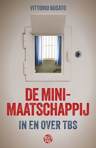 De minimaatschappij