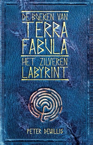 Het zilveren labyrint