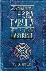 Het zilveren labyrint