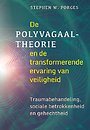 De polyvagaaltheorie en de transformerende ervaring van veiligheid De polyvagaaltheorie en de transformerende ervaring van veiligheid