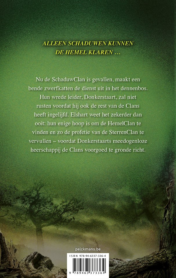 Warrior Cats - Een visioen van schaduwen: Versplinterde hemel