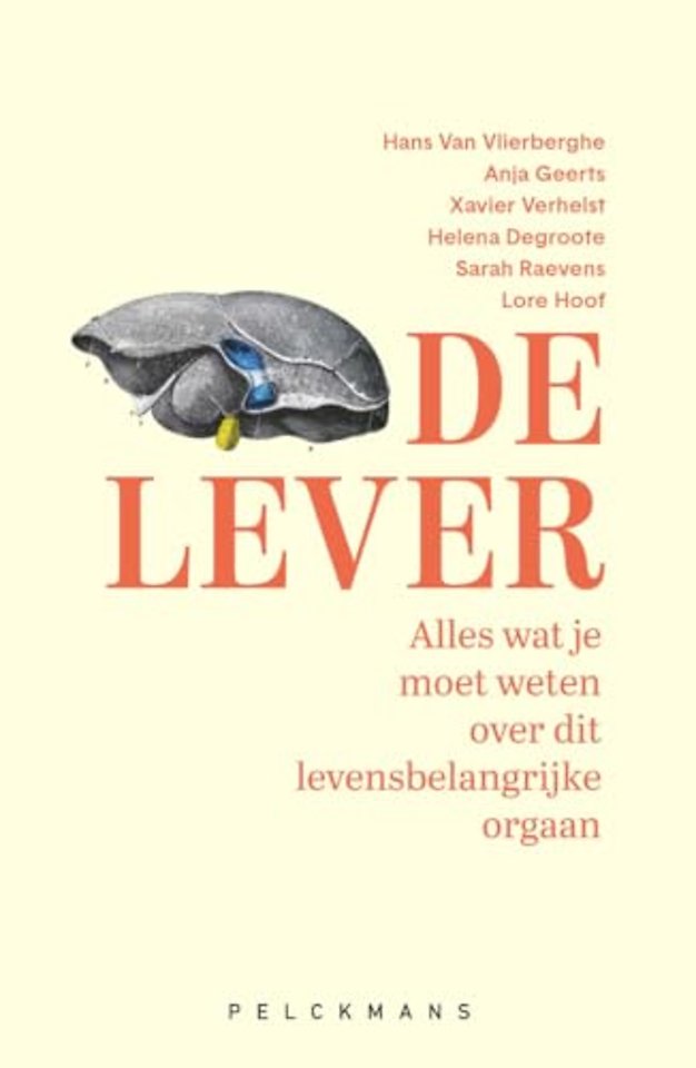 De lever