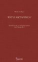 Wat is metafysica?