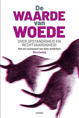De waarde van woede