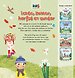 Lente, zomer, herfst en winter