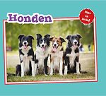 Honden