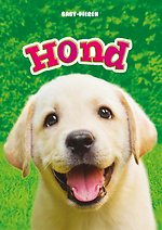 Hond