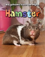 Hamster