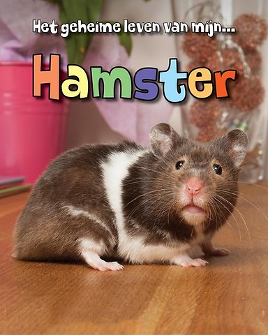 Hamster