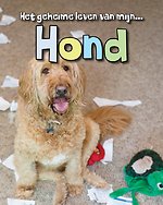 Hond