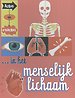 Actie en reactie in het menselijk lichaam