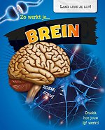 Zo werkt je brein