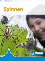 Spinnen