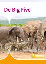 De Big Five
