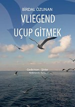 Vliegend uçup gitmek
