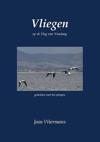 Vliegen
