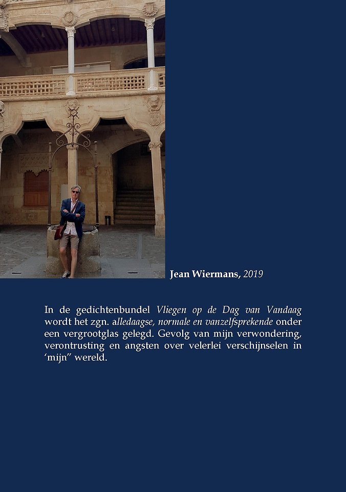 Vliegen