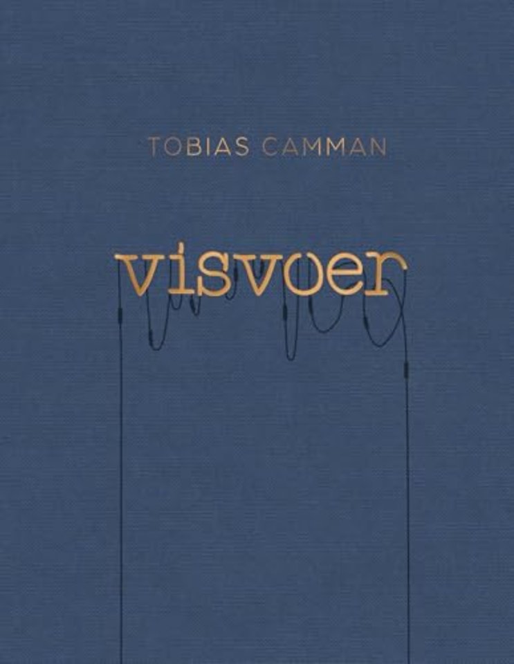 Visvoer