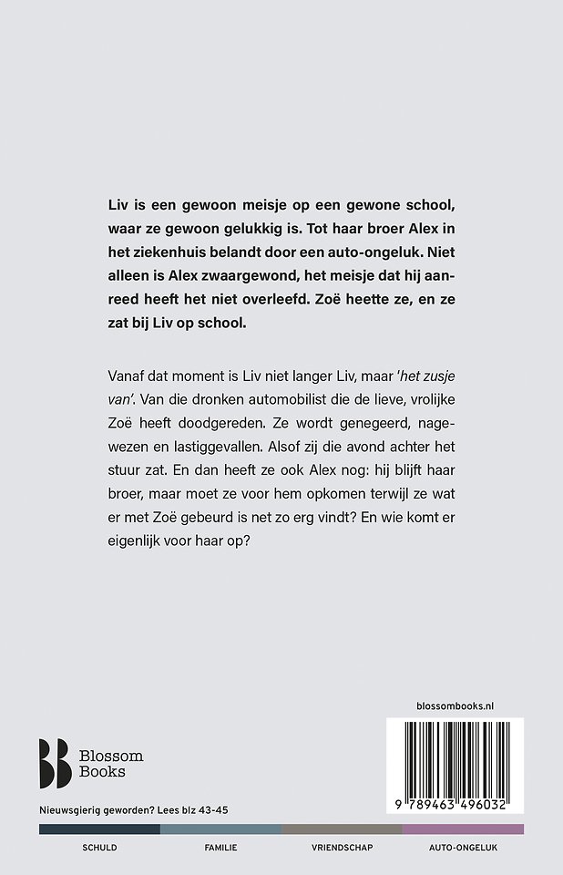 Het zusje van