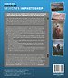 Werken met lagen en selecties in Photoshop Werken met lagen en selecties in Photoshop