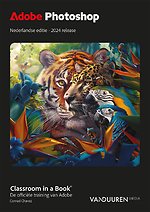 Adobe Photoshop Nederlandse editie - 2024 release