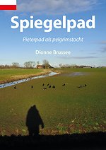 Spiegelpad