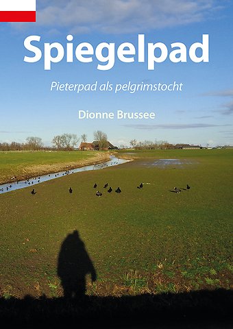 Spiegelpad