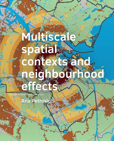 Multiscale spatial contexts and neighbourhood effects