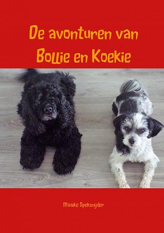 De avonturen van Bollie en Koekie