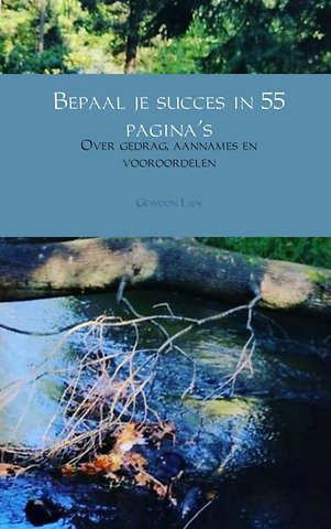 Bepaal je succes in 55 pagina's