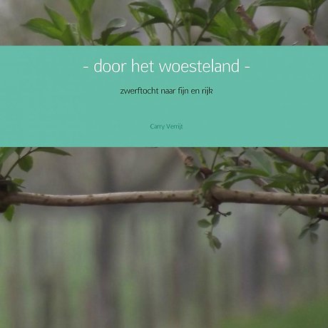 - door het woesteland -