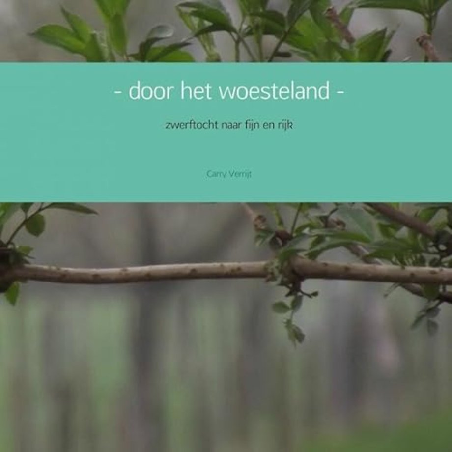 - door het woesteland -